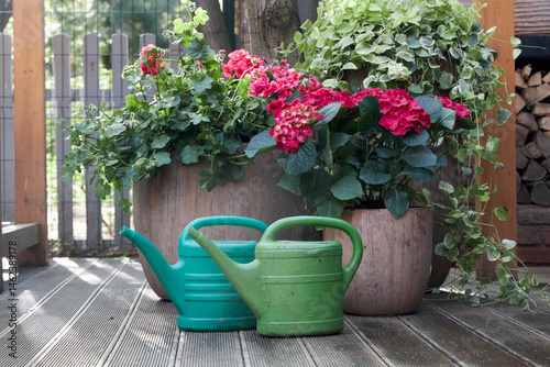 Green garden watering cans standing on the floor next to large planters with pink flowers in a summer gazebo in the garden