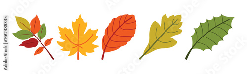 Colorful autumnal leaves illustration in trendy flat design style