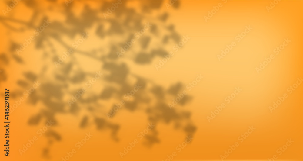 Abstract shadow of leaves and branches on white concrete wall.Soft overlay of natural light.