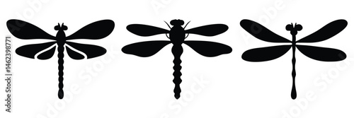 Set of dragonfly vector silhouette, dragonfly vector illustration