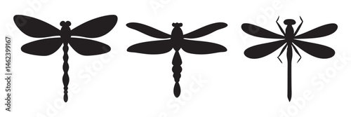 Set of dragonfly vector silhouette, dragonfly vector illustration