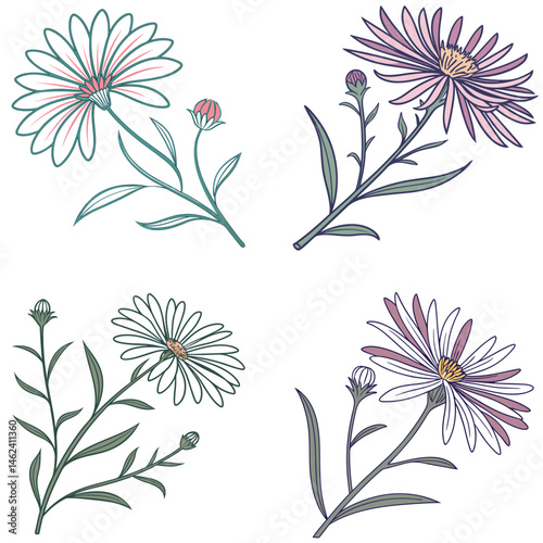  An aster flower icon with thin, radiating petals and a bright center.