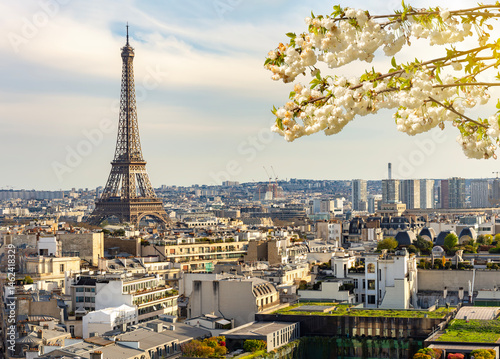 Photography Eiffel tower in spring, Paris, France