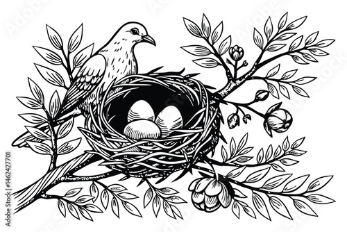16 Detailed pencil drawing, intricate bird's nest, white dove, eggs, delicate flowers, realistic textures, botanical illustration, nature scene, black and white artwork, fine line work, shading techni