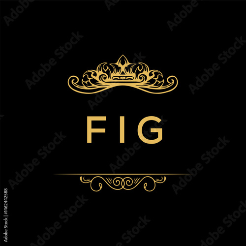 FIG  letter logo creative design with vector graphic,