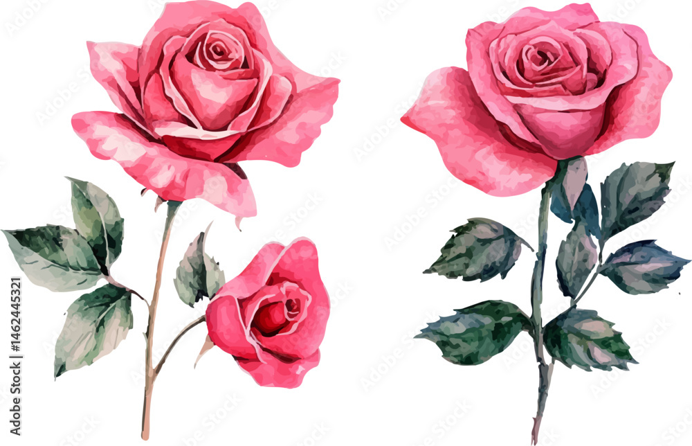 Fototapeta premium set of roses vector illustration