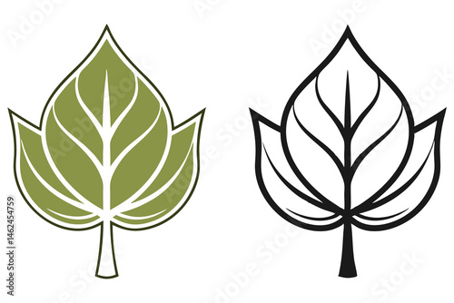 Simple poplar leaf showcases its distinctive shape in both color and line art