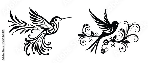 Elegant colibri illustration, monochrome decorative bird graphic element on a white background