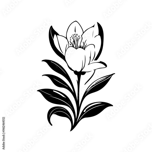 Elegant monochrome floral illustration with detailed stamen and prominent leaves