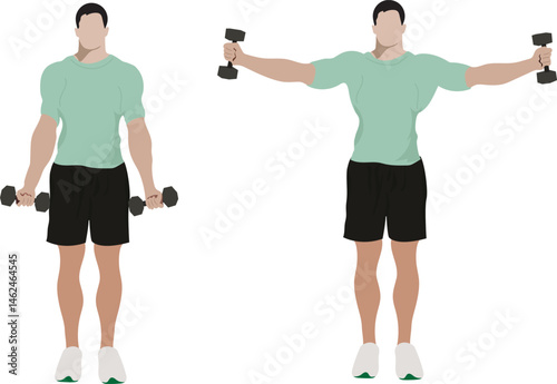 Two young men are exercising with dumbbells in front of a white background. Workout with dumbbell, initial and final pose. Vector illustration.