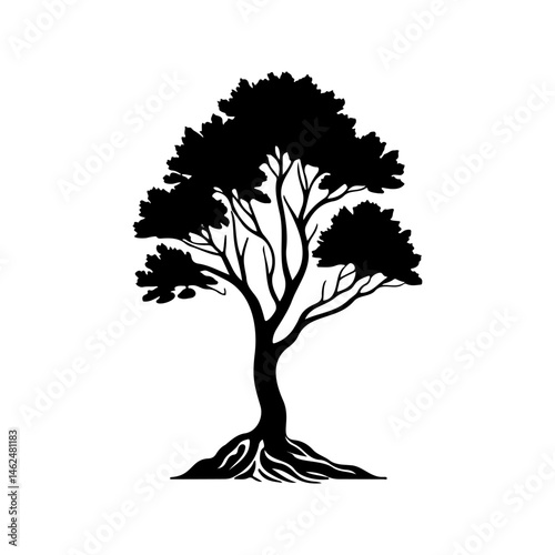 Monochrome arboreal silhouette, displaying the structure of a majestic tree