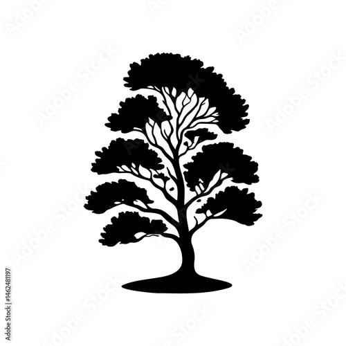 Isolated deciduous silhouette, elegant arboraceous representation for graphics