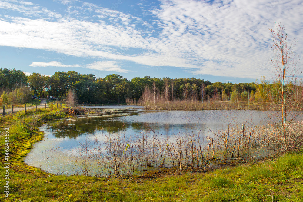 Landscape in the National Park Maasduinen in the Netherlands