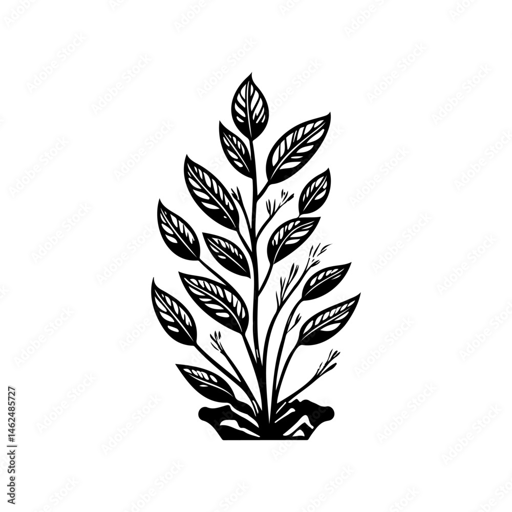 Elegant botanical illustration of foliage and leaves, a plant's graceful form Elegant botanical illustration of foliage and leaves, a plant's graceful form