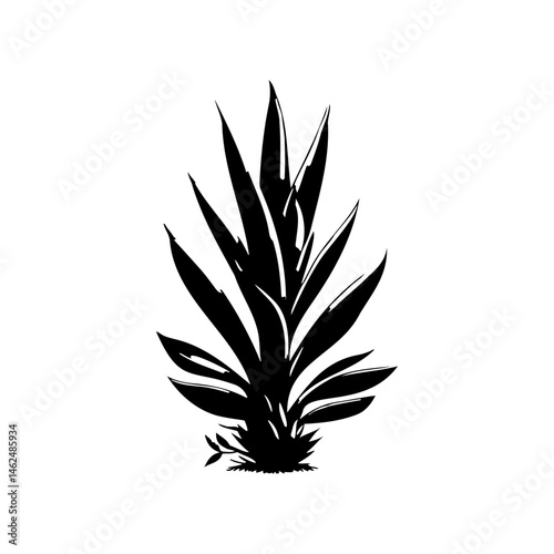 Monochrome botanical illustration showcasing a stylized, spiky plant form