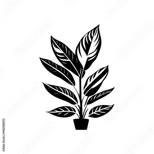 Monochrome houseplant elegance: Minimalist botanical depiction in sophisticated dark hues
