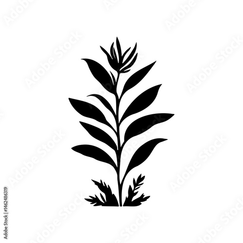 Botanical simplicity: A contrasting silhouette of elongated leaves design element