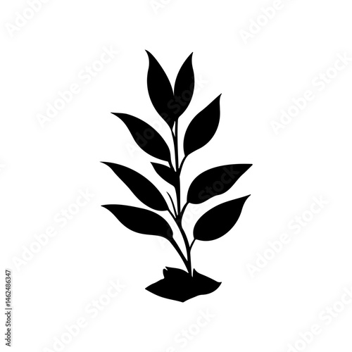 Elegant silhouette of a sprouting plant, conveying simplicity and new beginnings