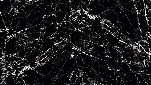 Black Marble Texture with White Veins