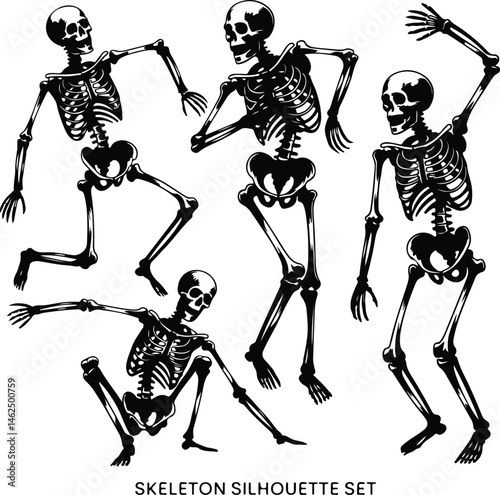 Skeleton Silhouette Set | Human Bones Vector Collection Scary Skeleton Silhouettes | Halloween Skull & Bone Icons