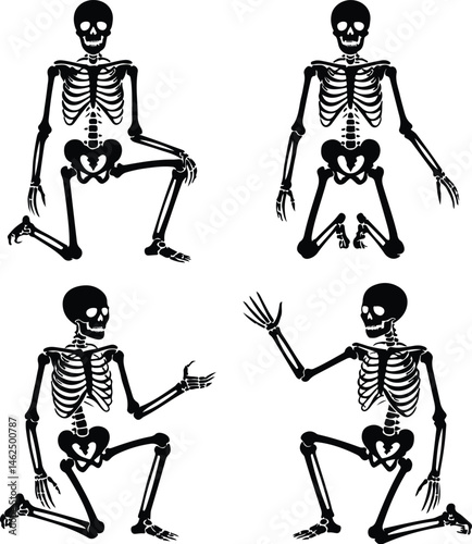 Skeleton Silhouette Set | Human Bones Vector Collection Scary Skeleton Silhouettes | Halloween Skull & Bone Icons