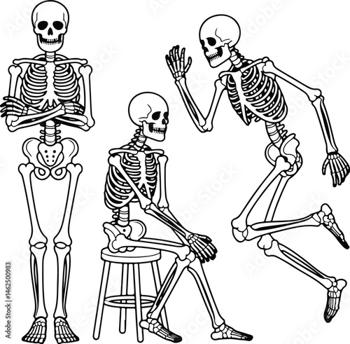 Skeleton Silhouette Set | Human Bones Vector Collection Scary Skeleton Silhouettes | Halloween Skull & Bone Icons
