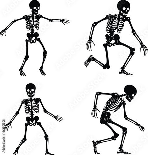 Skeleton Silhouette Set | Human Bones Vector Collection Scary Skeleton Silhouettes | Halloween Skull & Bone Icons