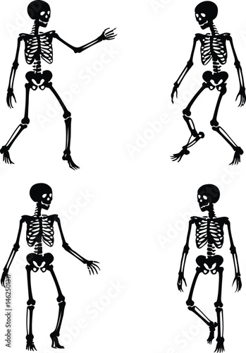 Skeleton Silhouette Set | Human Bones Vector Collection Scary Skeleton Silhouettes | Halloween Skull & Bone Icons