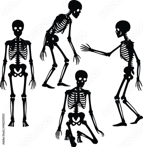 Skeleton Silhouette Set | Human Bones Vector Collection Scary Skeleton Silhouettes | Halloween Skull & Bone Icons