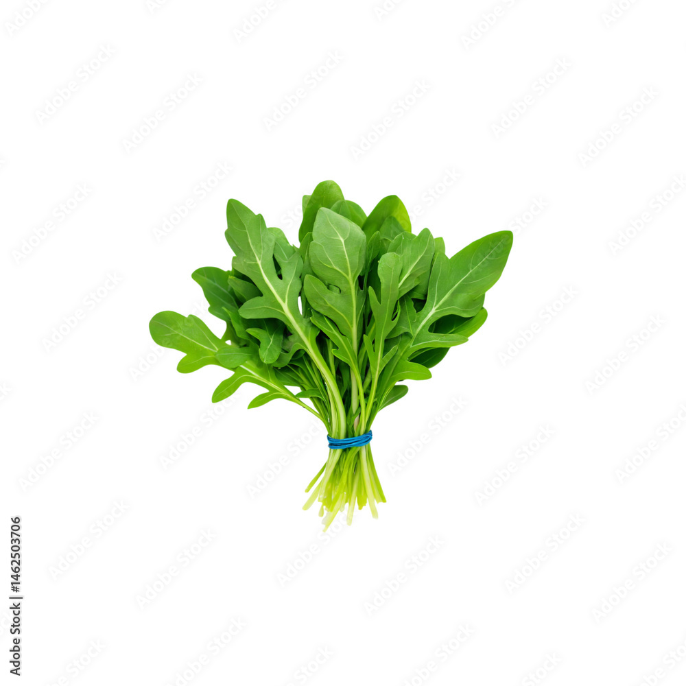 Fresh arugula bunch ready for cooking or salad preparation at local market