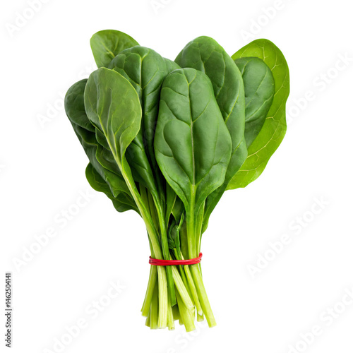 Obraz na płótnie Fresh spinach bunch arranged with vibrant green leaves w salonie