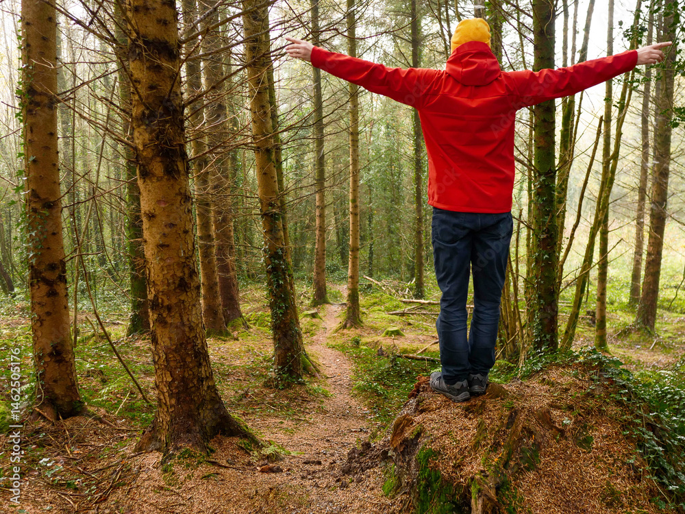 A man in a red jacket is walking through a forest. Male tourist is wearing a yellow hat. The forest is full of trees and the man is walking on a path. Travel and tourism concept. Trip to nature.