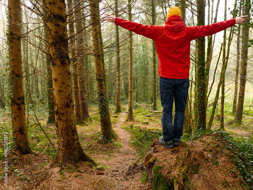A man in a red jacket is walking through a forest. Male tourist is wearing a yellow hat. The forest is full of trees and the man is walking on a path. Travel and tourism concept. Trip to nature.