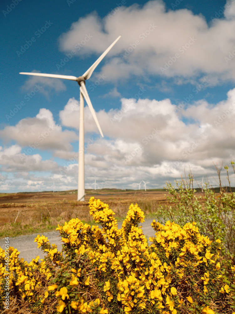 A field of wind turbines with a clear blue cloudy sky in the background. The windmills are tall and spread out across the field. Production of clean green energy. Warm sunny day. Nobody.