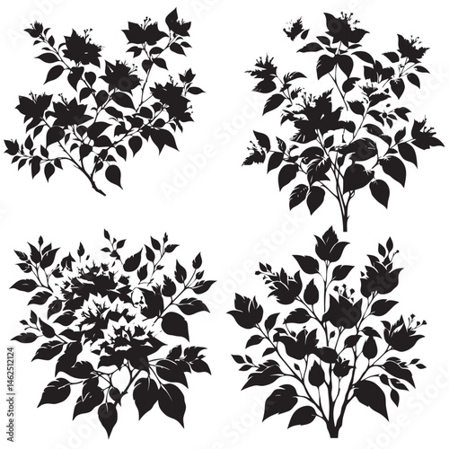 Wallpaper Mural Bougainvillea Flower Silhouette set isolated on white background  Torontodigital.ca