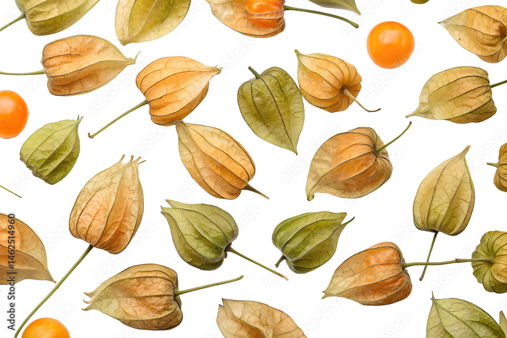 physalis seamless pattern background physalis seamless pattern background