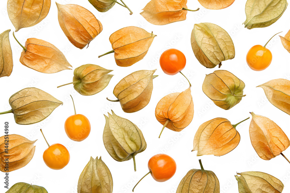 physalis seamless pattern background physalis seamless pattern background