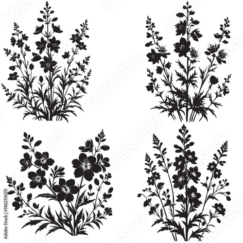 Larkspur Blossom Silhouette set isolated on white background 