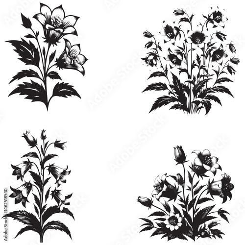 Bellflower Silhouette  set 