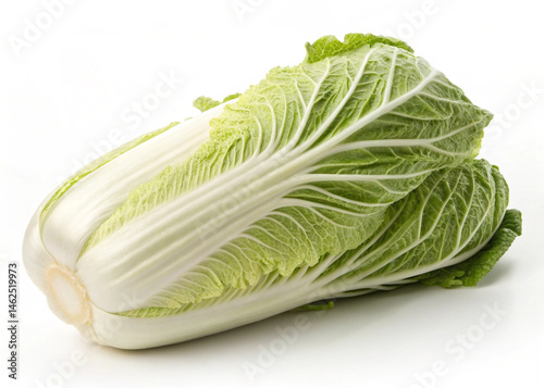 napa cabbage isolated on white background