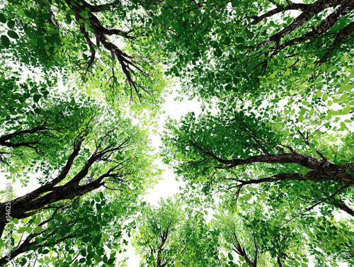 illustration of trees viewed from below, typespace border asset, vibrant green leaves transparent background