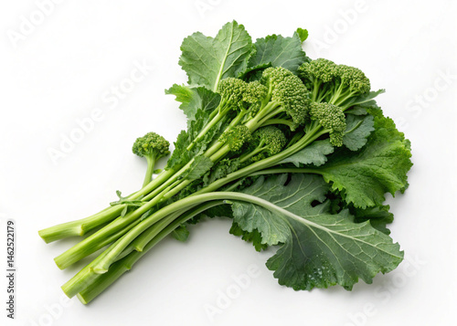 broccoli leaves white background