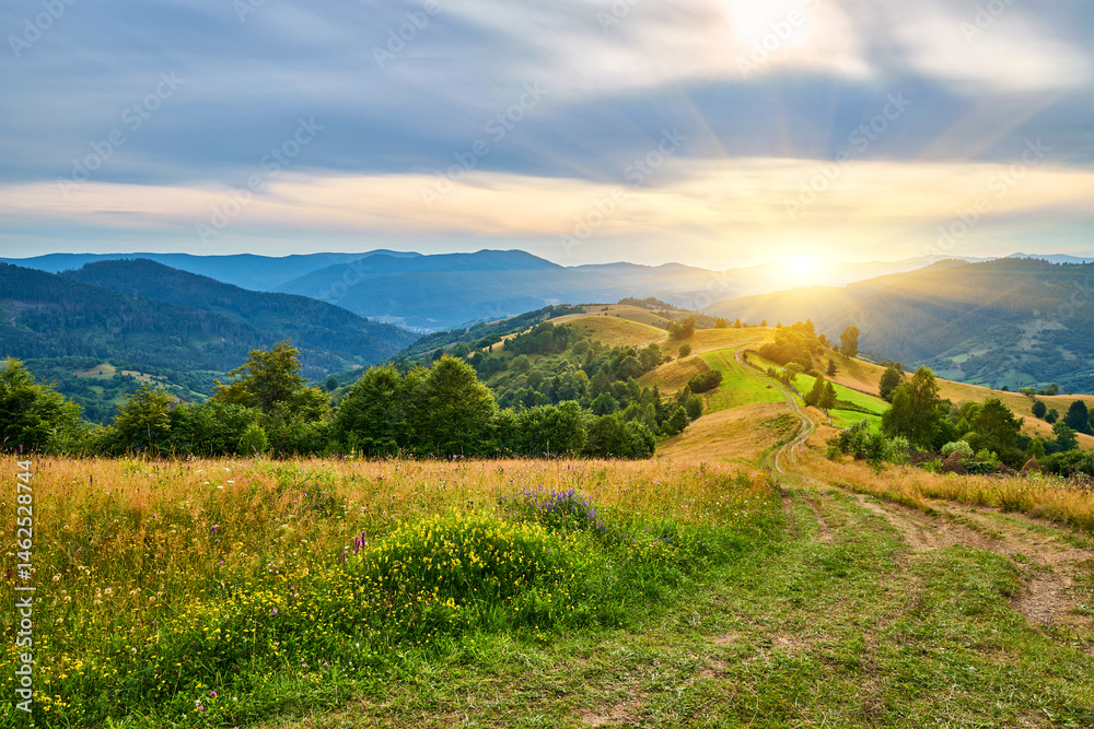 Fototapeta premium Mountain Ridge Path Birch Tree Landscape