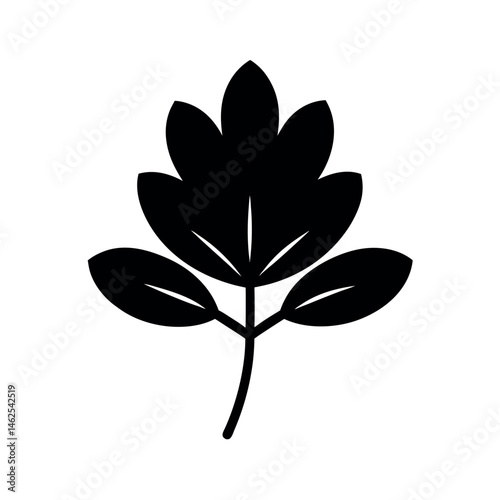 Fenugreek Spice Black Vector Silhouette Art
