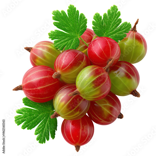 Fresh ripe gooseberries with vibrant green leaves, perfect for natural food concepts. High-resolution PNG on transparent background ideal for design projects and ads.