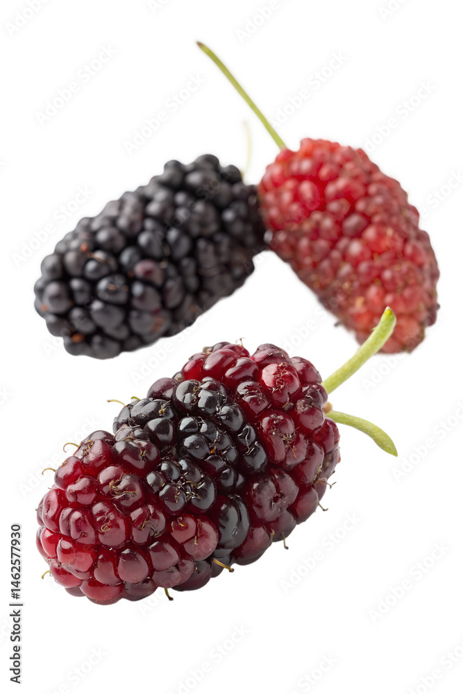 Mulberries fruit isolated on white background Mulberries fruit isolated on white background