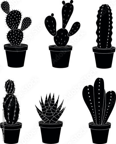 Potted cactus and succulent plant collection vector set for decoration and design 