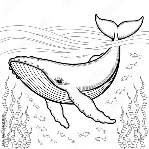 sketch of a blue wale. 
