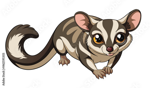 Sugar Glider Hanging Upside Down with Spread Patagium