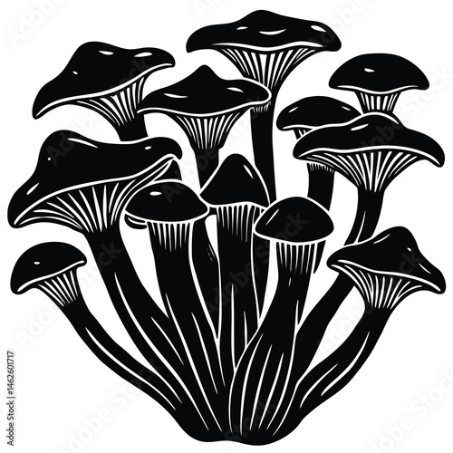 mushrooms vector illustration